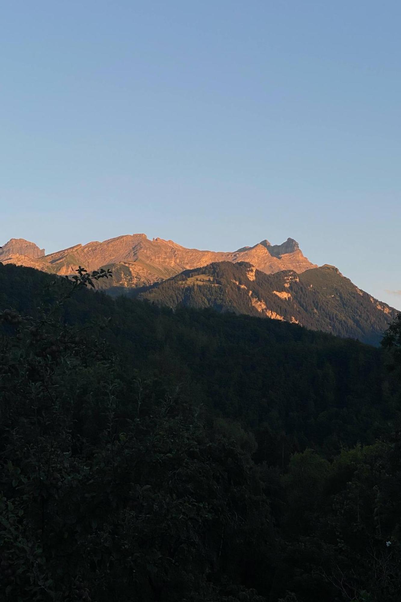 La Petite Grange Βίλα Villars-sur-Ollon Εξωτερικό φωτογραφία