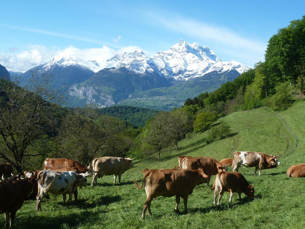 La Petite Grange Βίλα Villars-sur-Ollon Εξωτερικό φωτογραφία