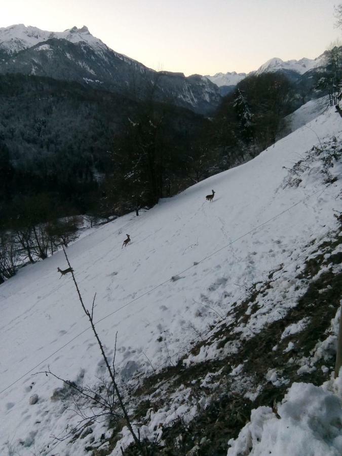 La Petite Grange Βίλα Villars-sur-Ollon Εξωτερικό φωτογραφία
